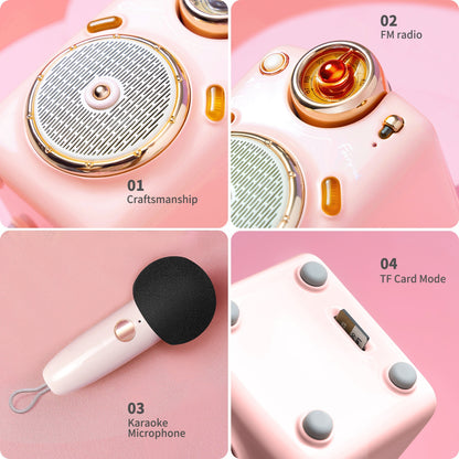 Portable Bluetooth Speaker with Microphone